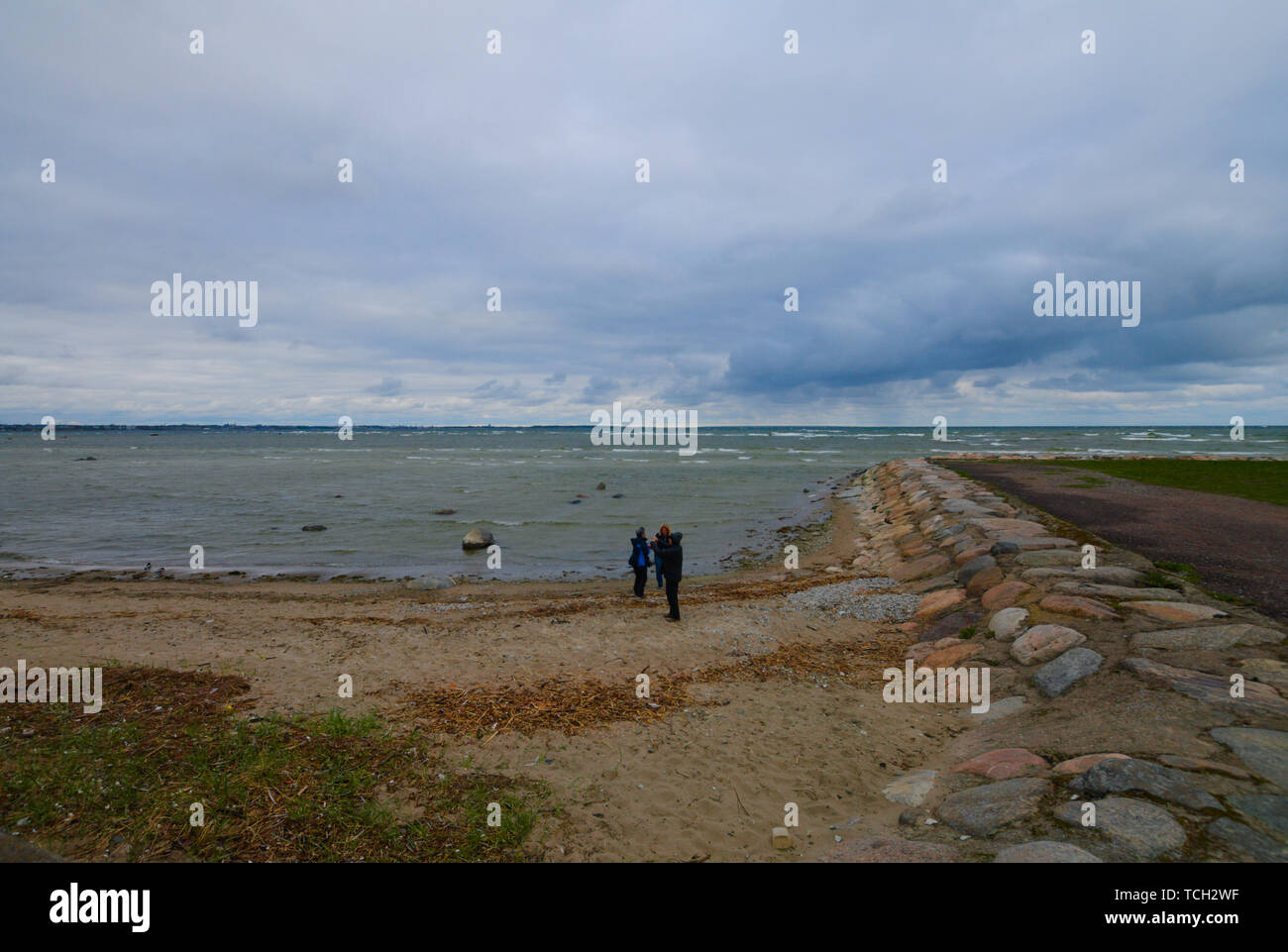 Un rompeolas en el Báltico Seacoast cerca de Tallinn, Estonia. Foto de stock