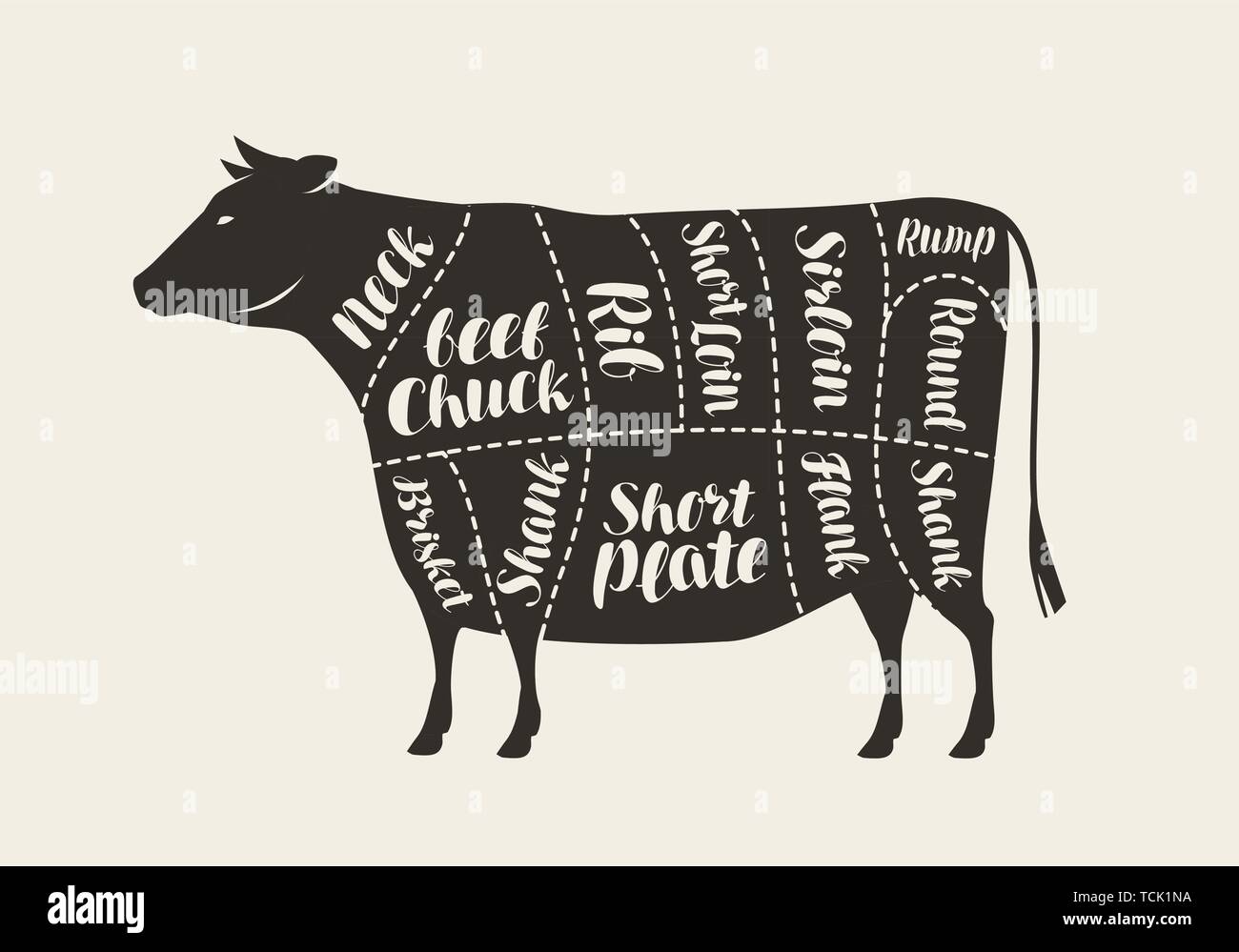 Cortes de carne de vaca. Butcher Shop, carne ilustración vectorial Ilustración del Vector