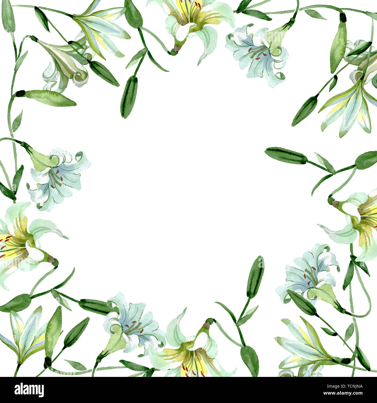 Galerie acuarelas Carbón Blanco Floral Lirio de flores botánicas Wallpaper