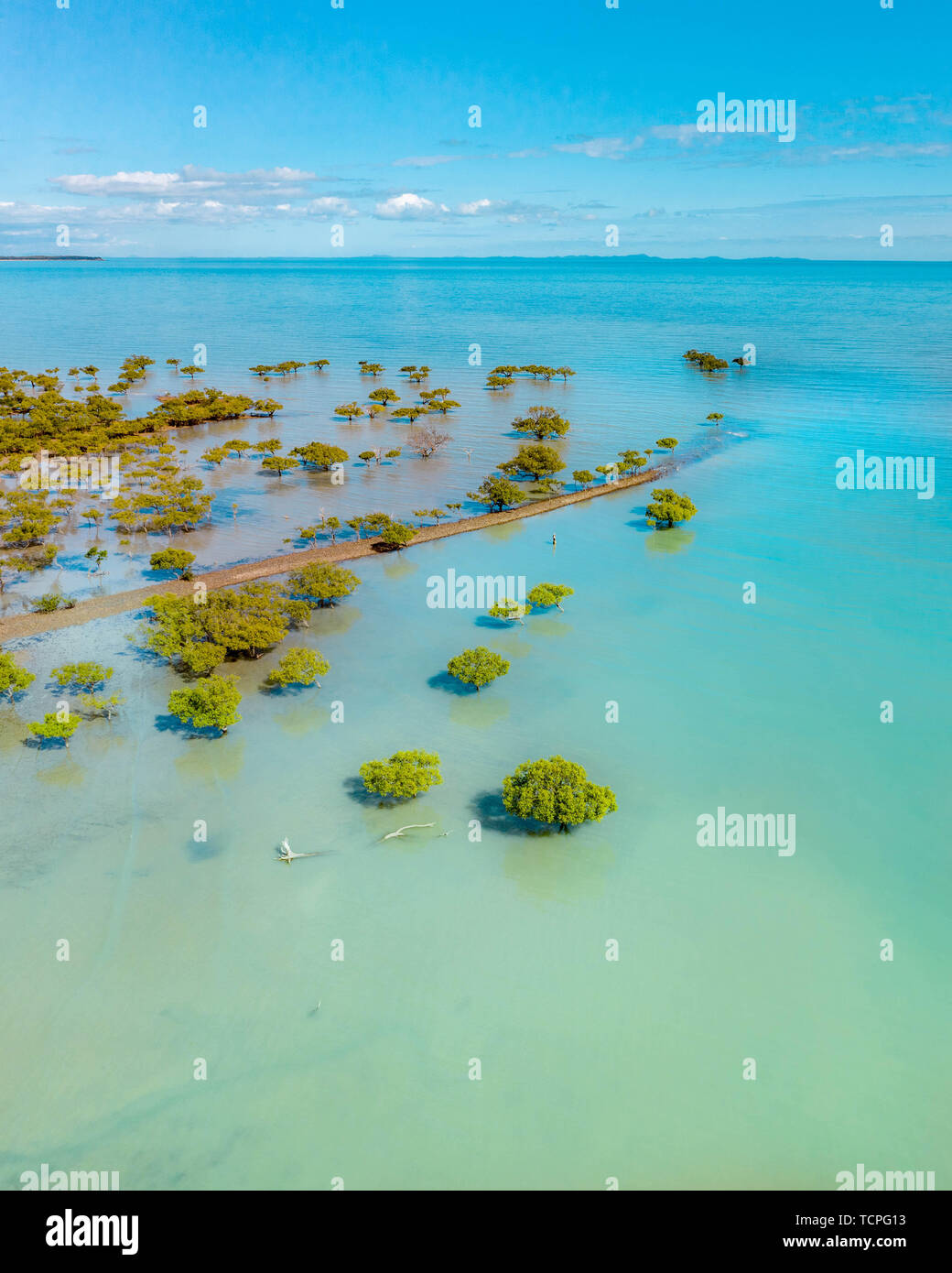 Antena de manglares tropicales paisaje con bello color turquesa, vegetación de árboles tropicales en Australia Foto de stock