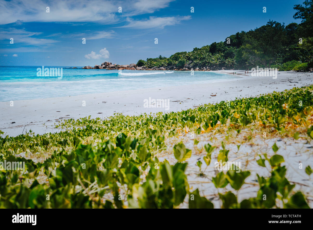 Bajo ángulo de disparo remoto de Anse Coco Beach, Isla de La Digue, Seychelles. Azul prístinas aguas cristalinas, palmeras y una amplia playa arenosa Foto de stock