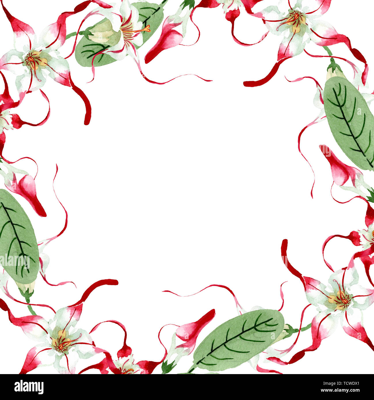 570 Koleksi Hantu Flores Terbaik