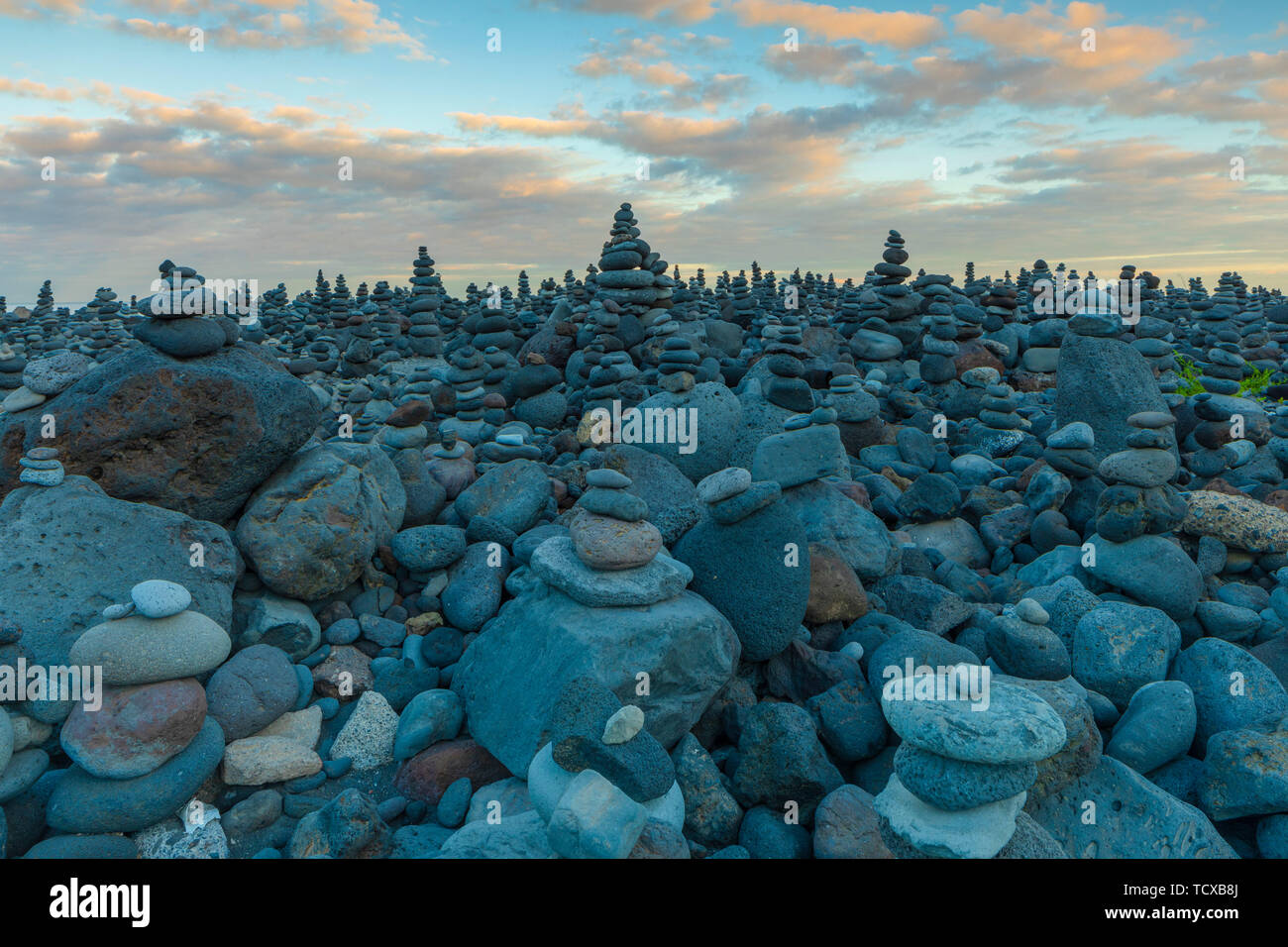 Muestra de piedra en Playa Jardin, Puerto de la Cruz, Tenerife, Islas Canarias, España, el Océano Atlántico, Europa Foto de stock