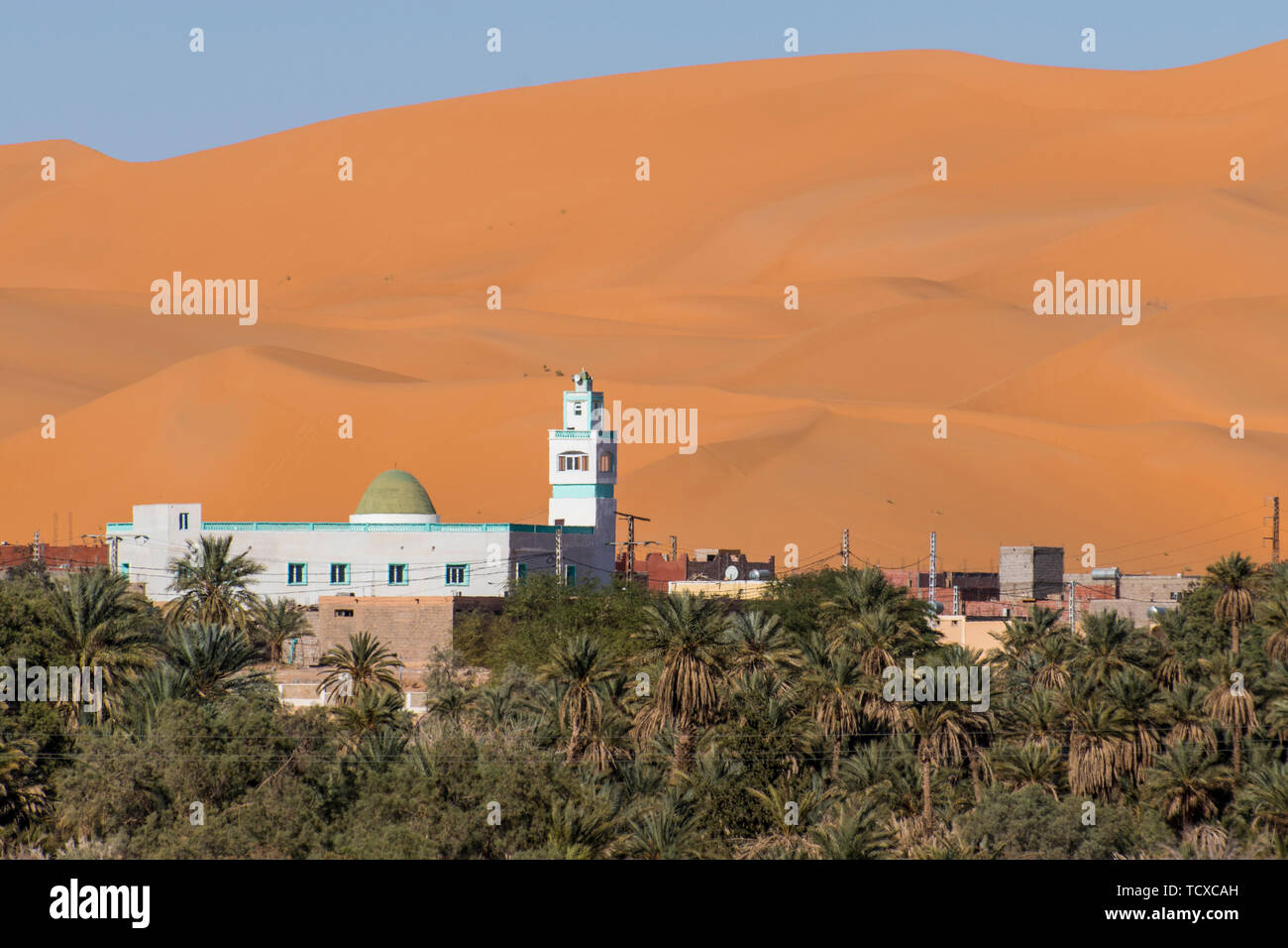 Vistas del oasis de palmeras en Beni Abbes, el desierto del Sahara, Argelia, Norte de África, África Foto de stock