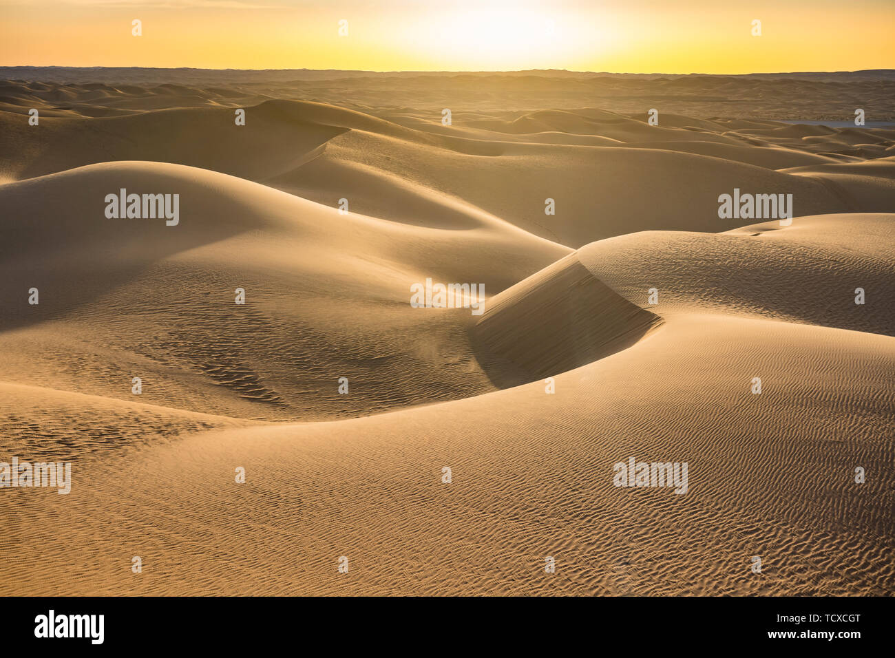 Puesta de sol en las dunas gigantes del desierto del Sahara, Timimoun, Argelia occidental, norte de África, África Foto de stock