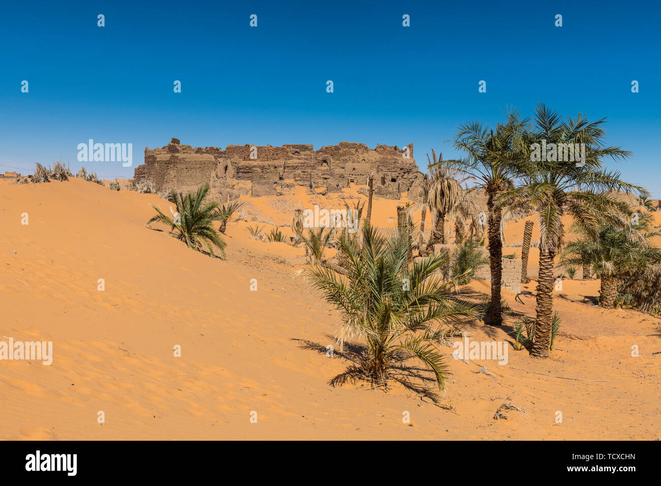 Antiguo Ksar, Old Town en el desierto del Sáhara, cerca de Timimoun, Argelia occidental, norte de África, África Foto de stock