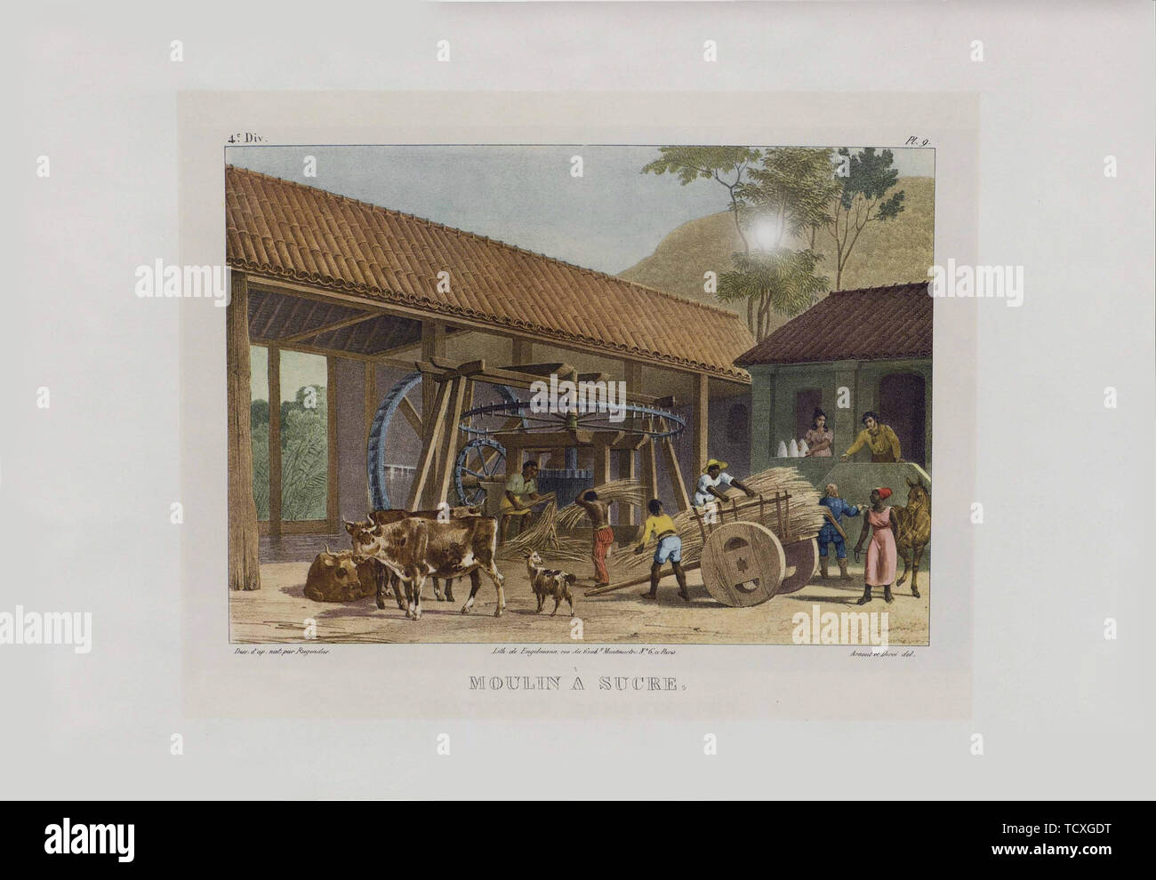 El molino de azúcar de 'Malerische Reise en Brasilien', 1830-1835. Creador: Rugendas, Johann Moritz (1802-1858). Foto de stock