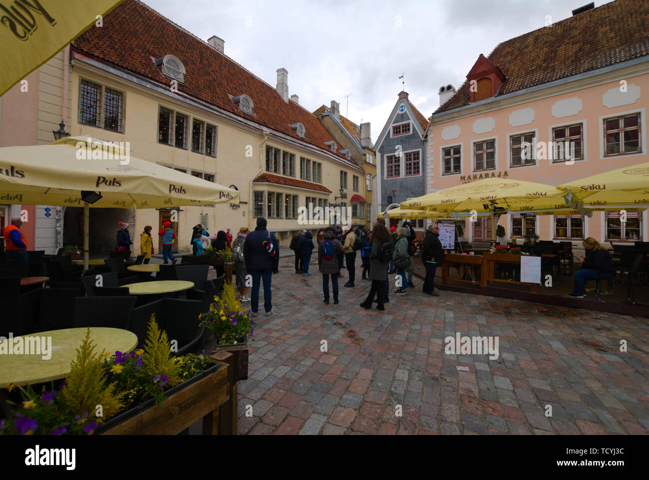 Los turistas exploran el casco antiguo de Tallinn, Estonia Foto de stock
