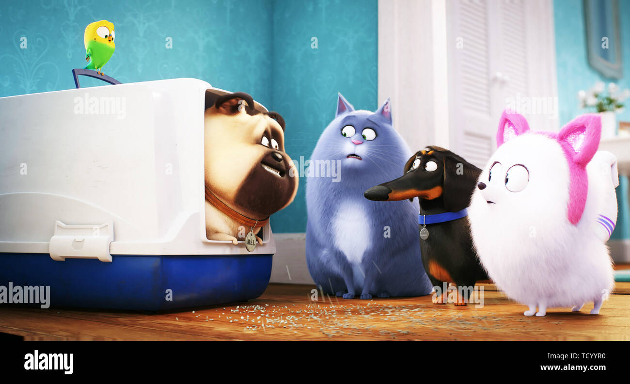 La vida secreta de las mascotas 2, de izquierda a derecha: Sweetpea, Mel  (voz: Bobby Moynihan),