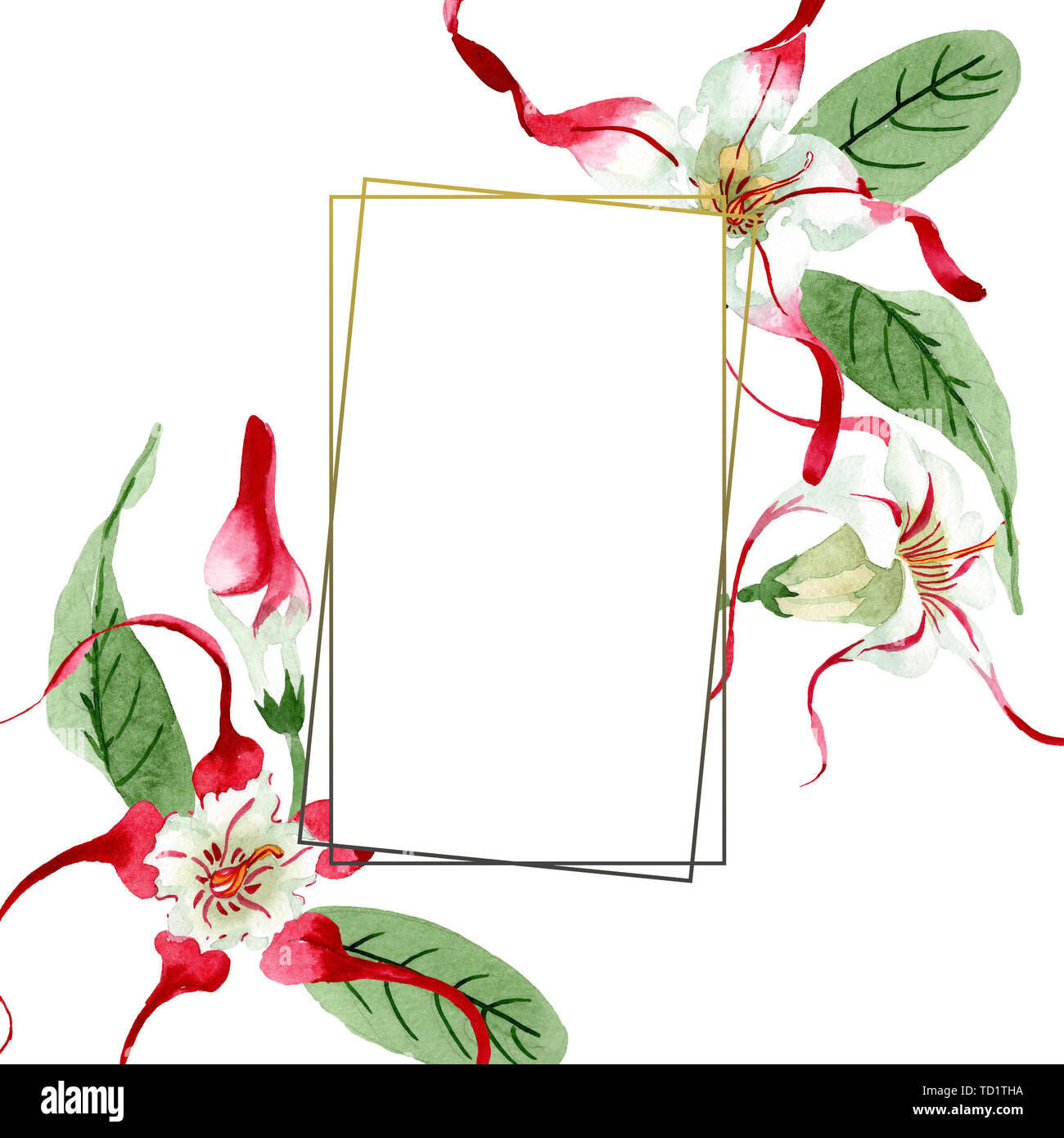 570 Koleksi Hantu Flores Terbaik