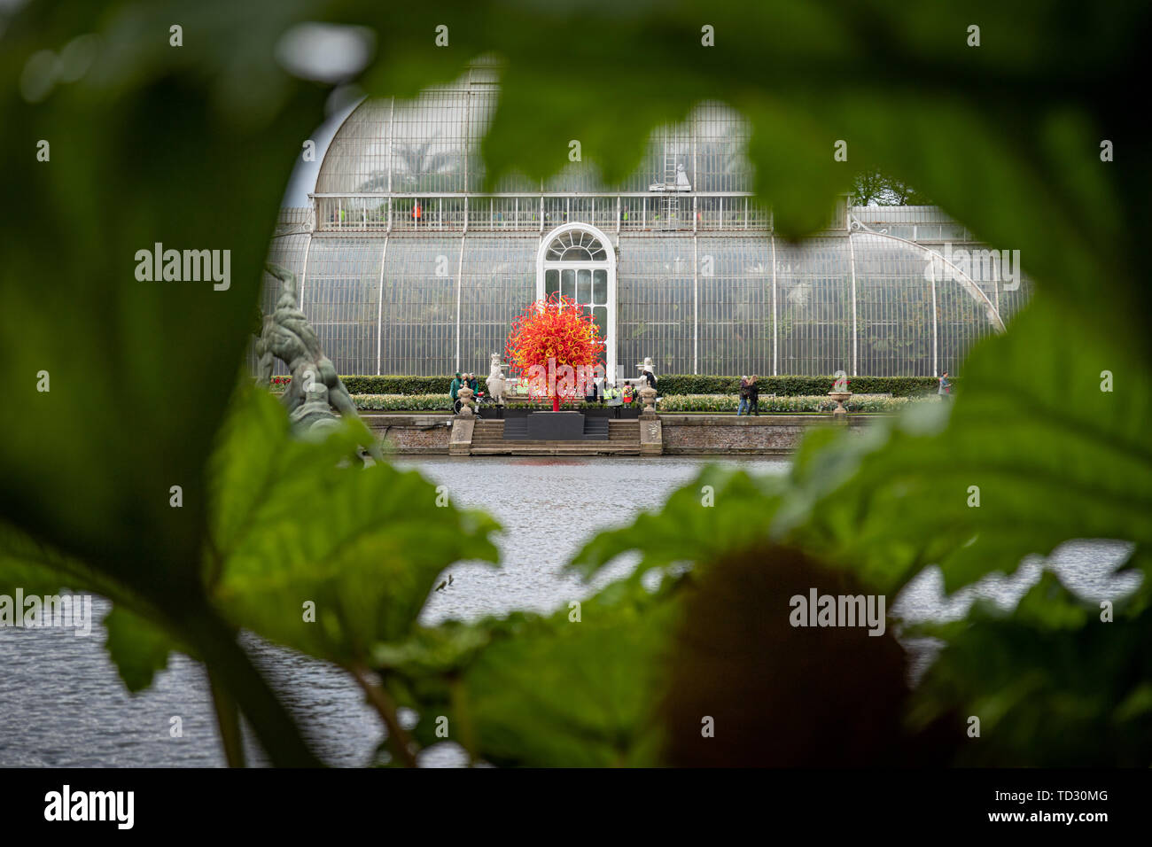 La vista de la Casa de las palmeras y el sol del verano escultura en vidrio por Dale Chihuly vistos a través de las hojas de ruibarbo gigante junto al agua. Foto de stock