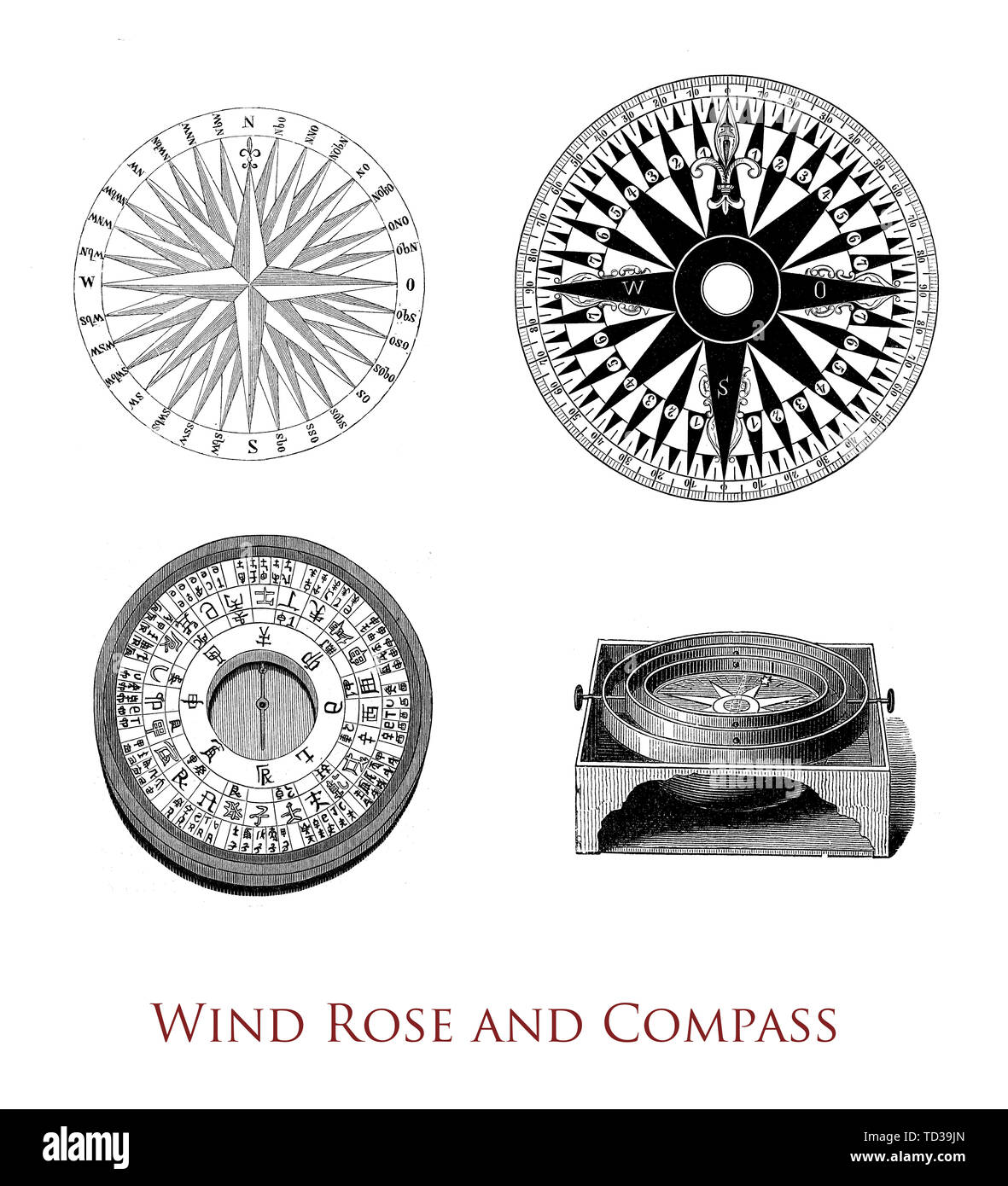 Herramientas de navegación: la rosa de los vientos, chino compass y compass  rose. La rosa de los vientos es usado por los meteorólogos para determinar  la velocidad y dirección del viento se