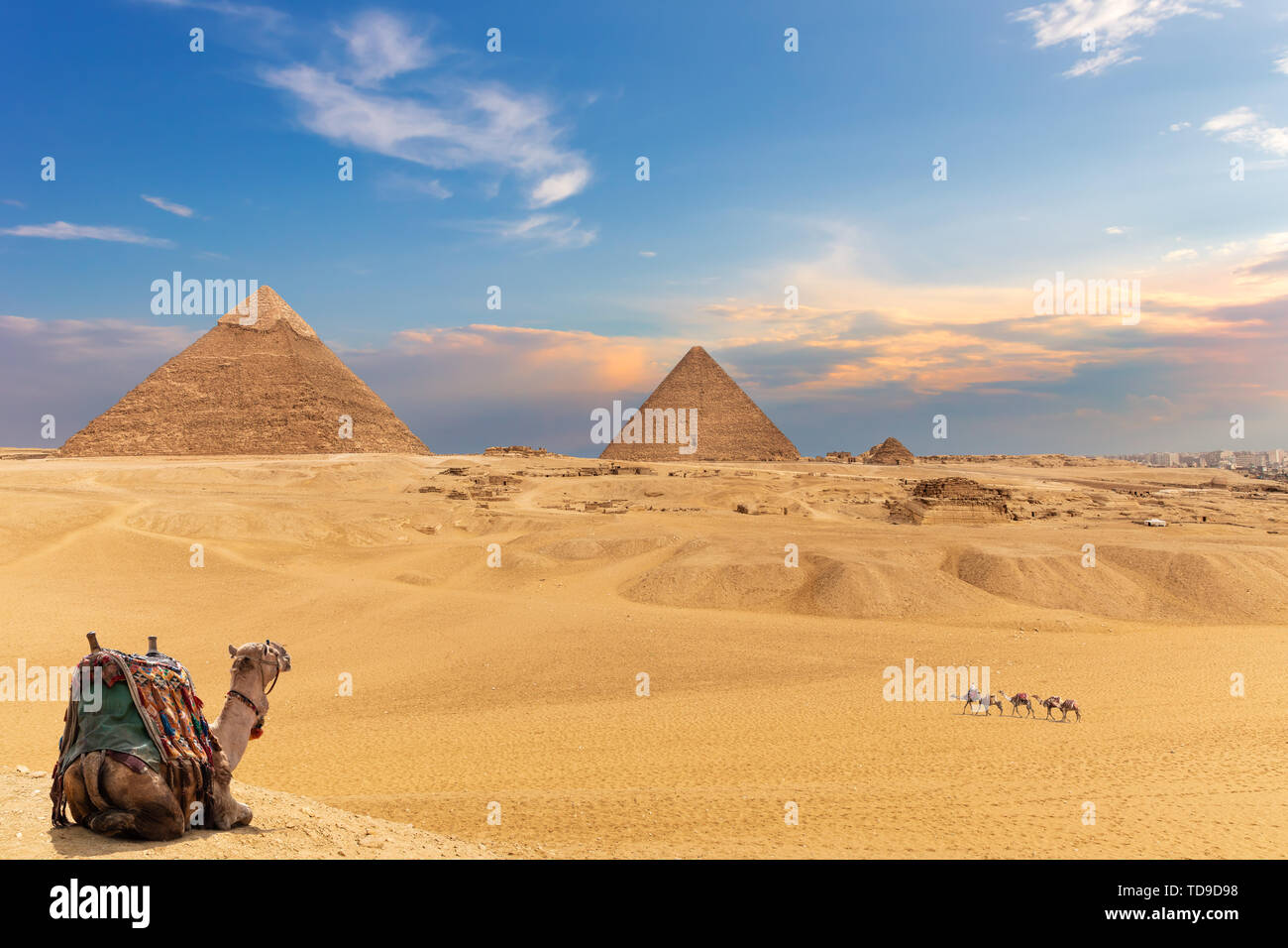 Las pirámides y camellos, hermosa vista del desierto de Giza. Foto de stock