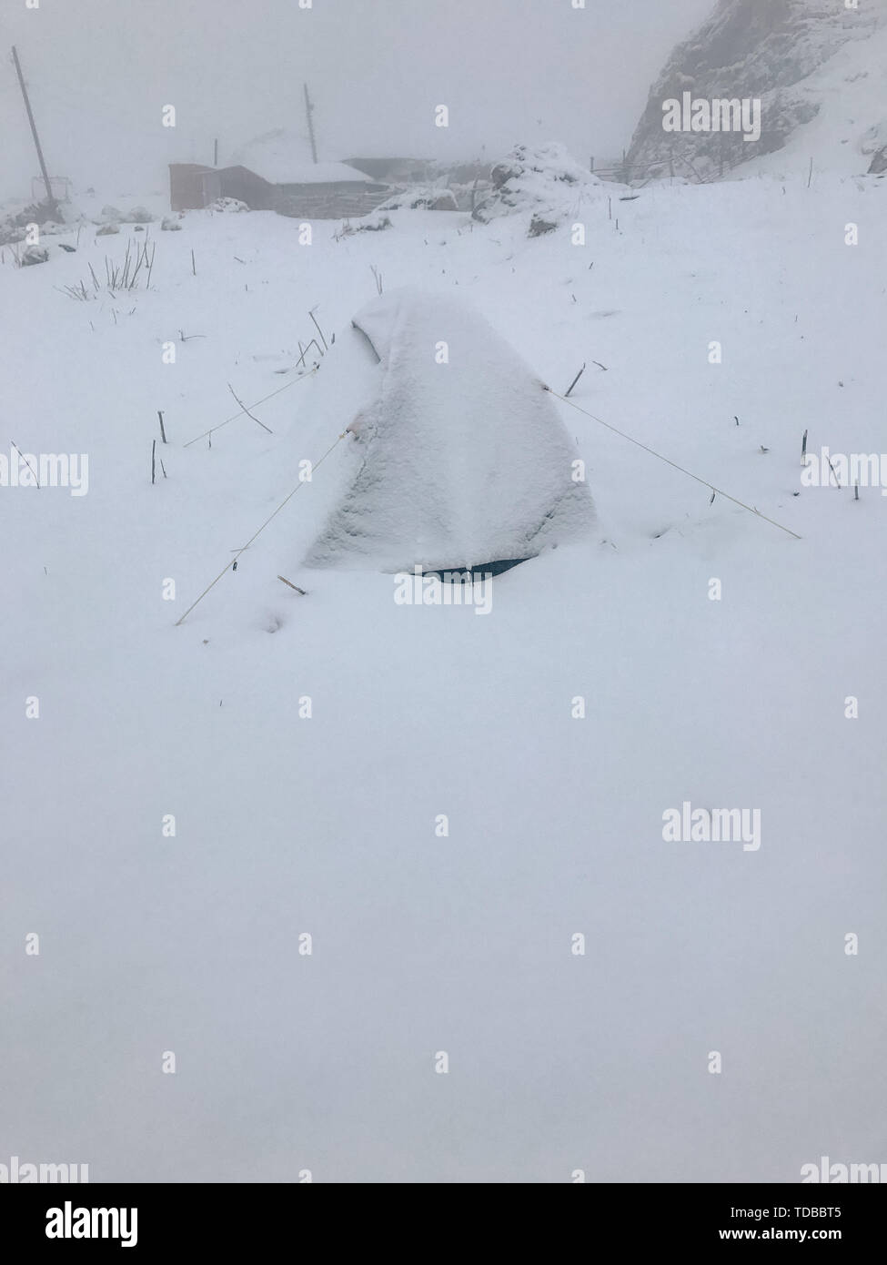 Carpa en condiciones extremas de invierno cubierto de nieve en lo alto de las montañas Foto de stock