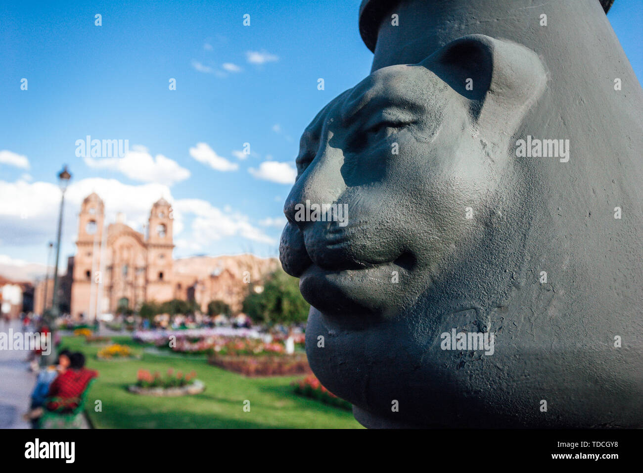Cara de puma fotografías e imágenes de alta resolución - Alamy
