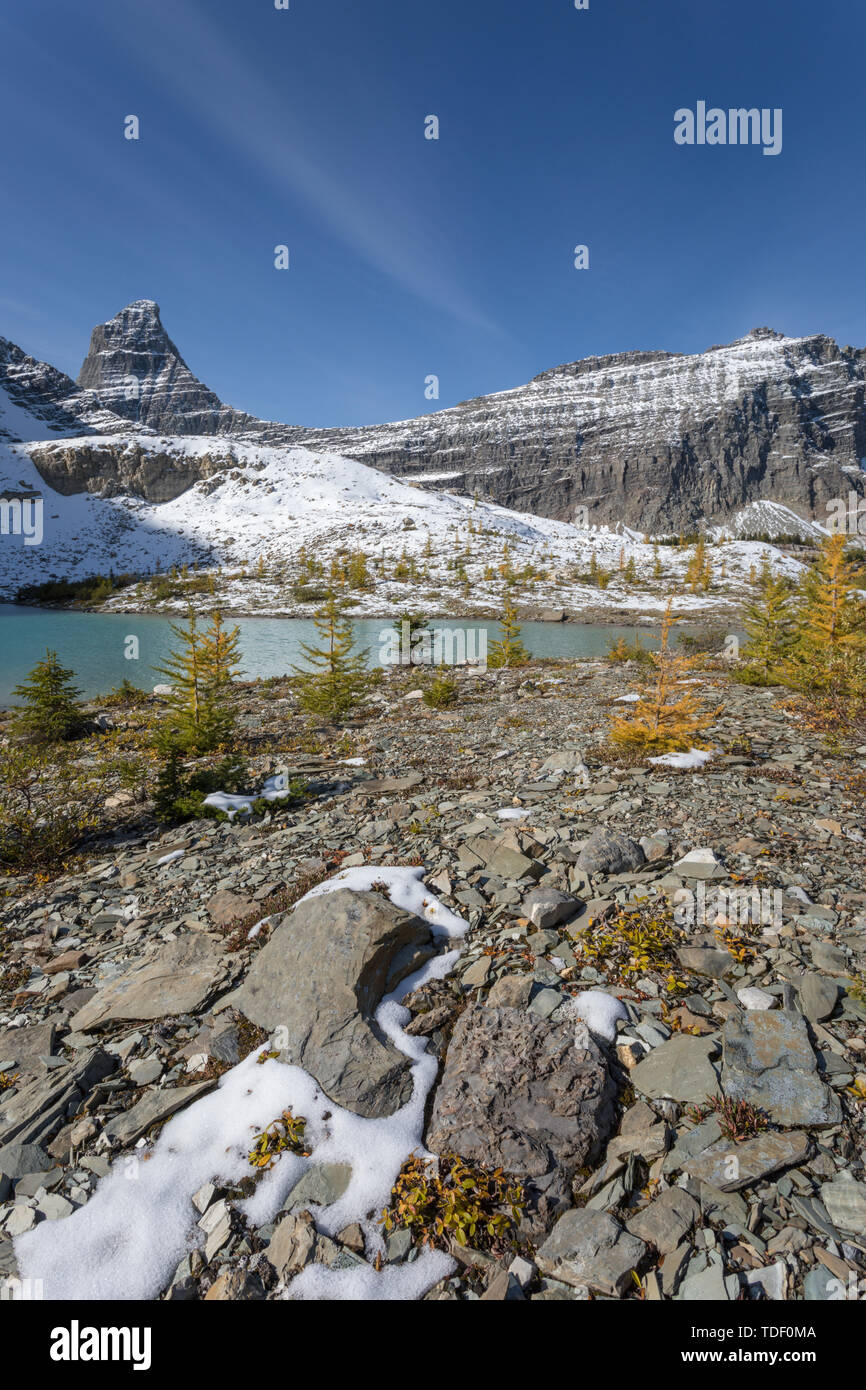 Pequeño lago en frente de un paisaje montañoso, East Kootenays, Montañas Rocosas, British Columbia, Canadá Foto de stock