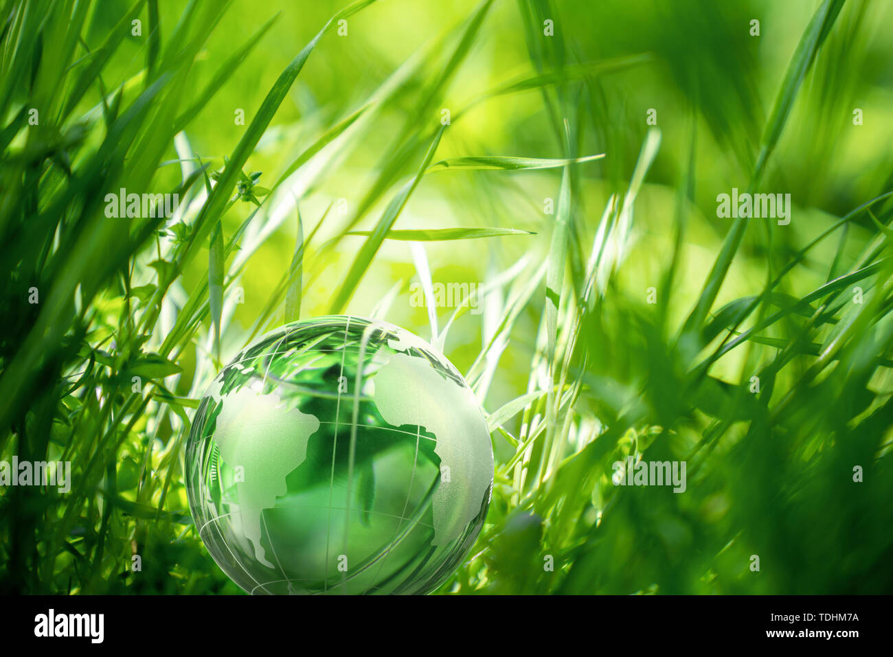Globo de Cristal en la hierba verde hermoso. Concepto de entorno. Foto de stock