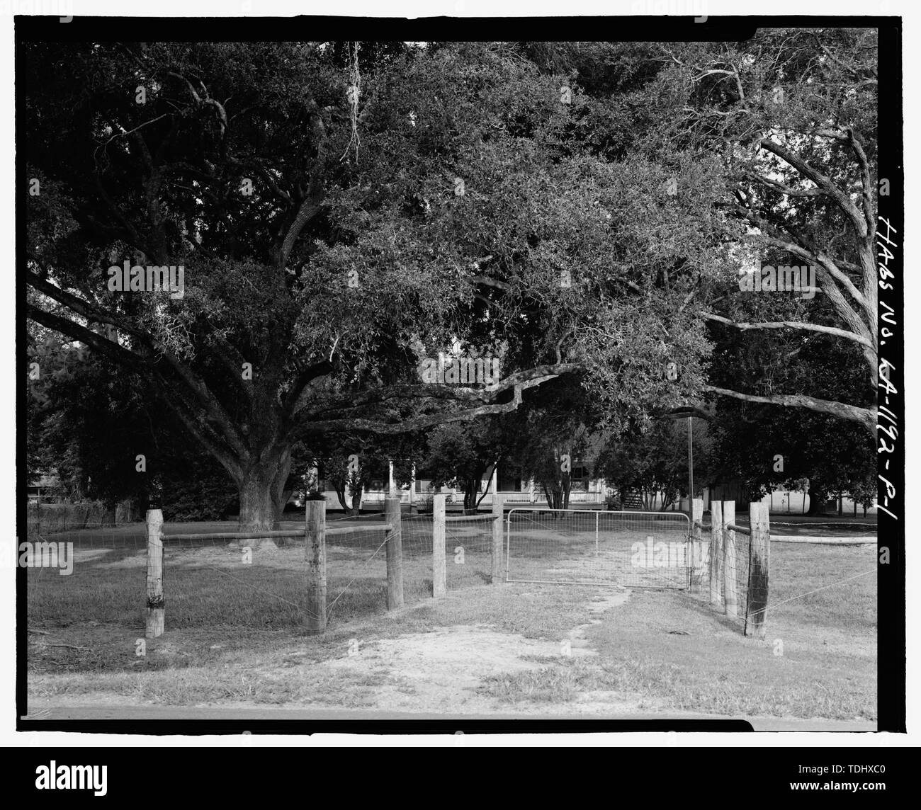  Plantación de Oakland, Doctor's House, Ruta 494, Bermudas, parroquia