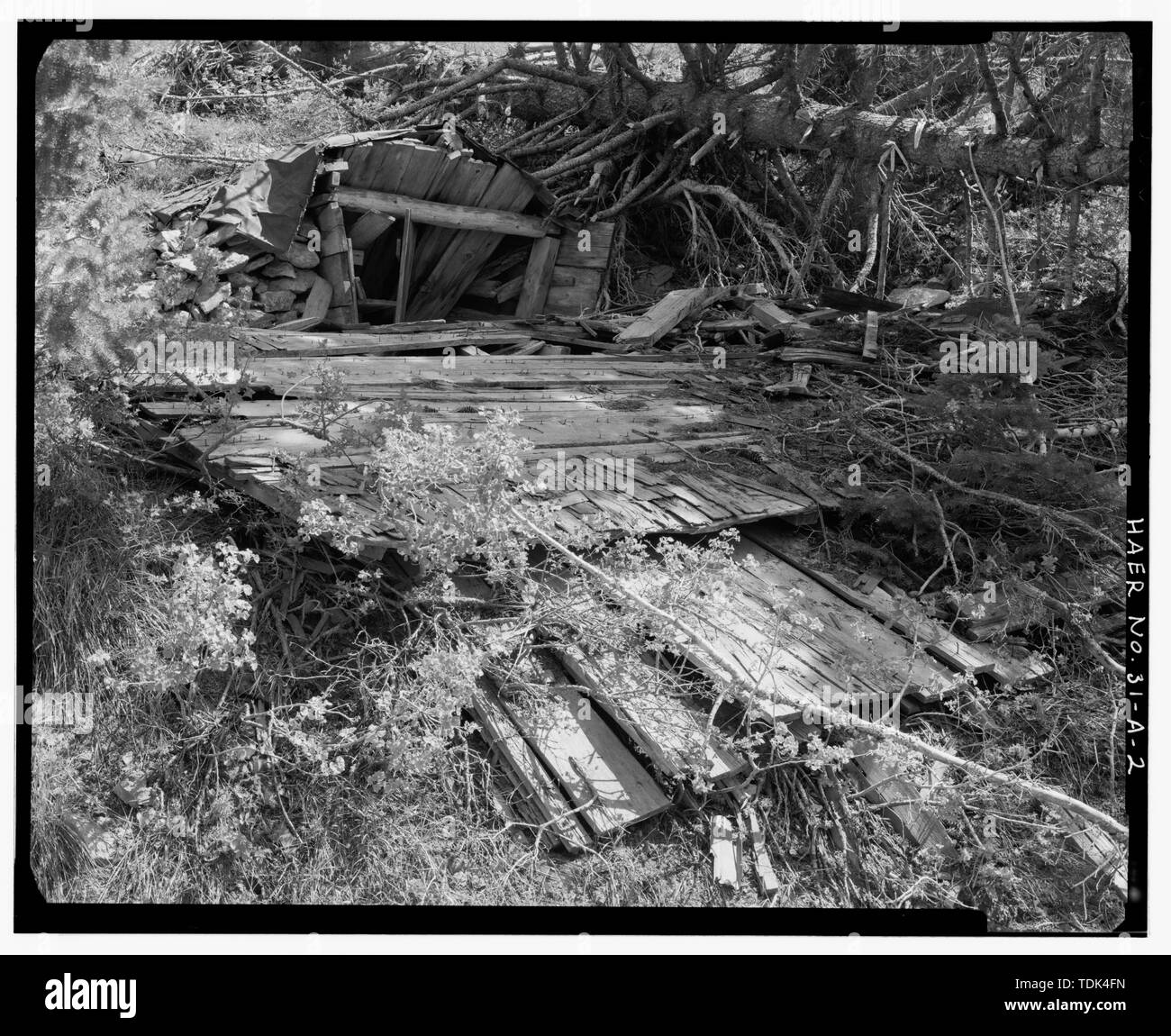 Mina de Ontario, colapsó edificio de madera cámara apuntando al sur-sureste. - Florida montaña sitios mineros, mina de Ontario, lado noroeste de Florida Montaña, Silver City, Condado de Owyhee, ID. Foto de stock