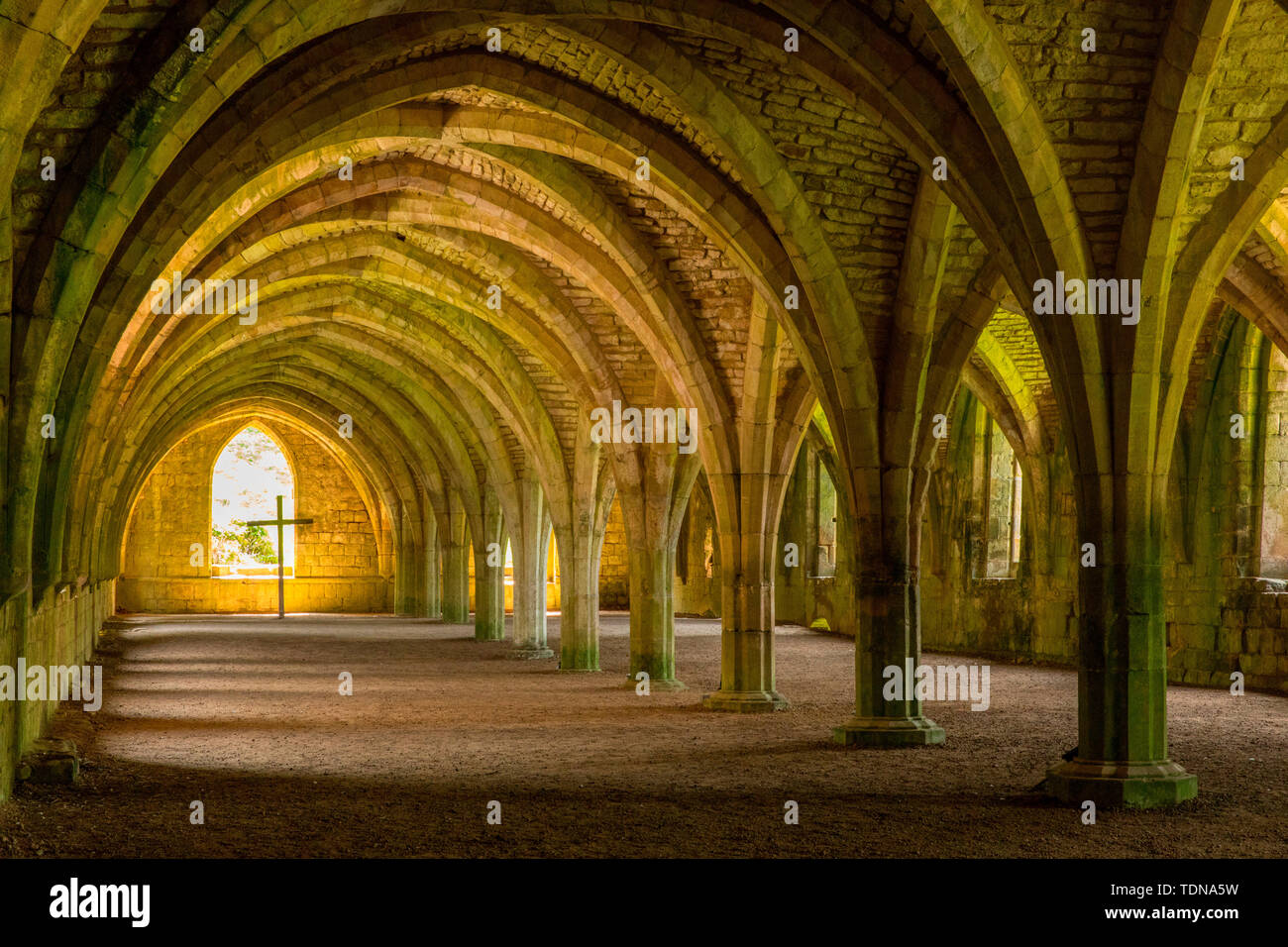 Fountains Abbey, Yorkshire Dales NP, Yorkshire, Reino Unido Foto de stock