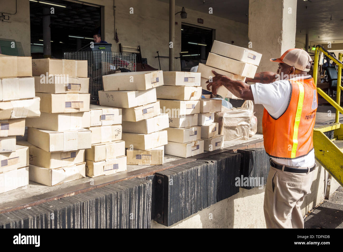 Miami Florida,Donaciones del Ejército de Salvación,hombres negros masculinos,cajuela de coche,cajas de apilamiento,recibiendo donaciones,trabajador,chaleco reflectante,muelle de carga,FL190104052 Foto de stock