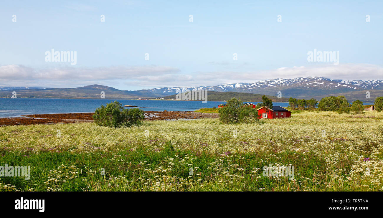 Langnes península con una cabaña de madera roja, Noruega, Tromsoe Foto de stock