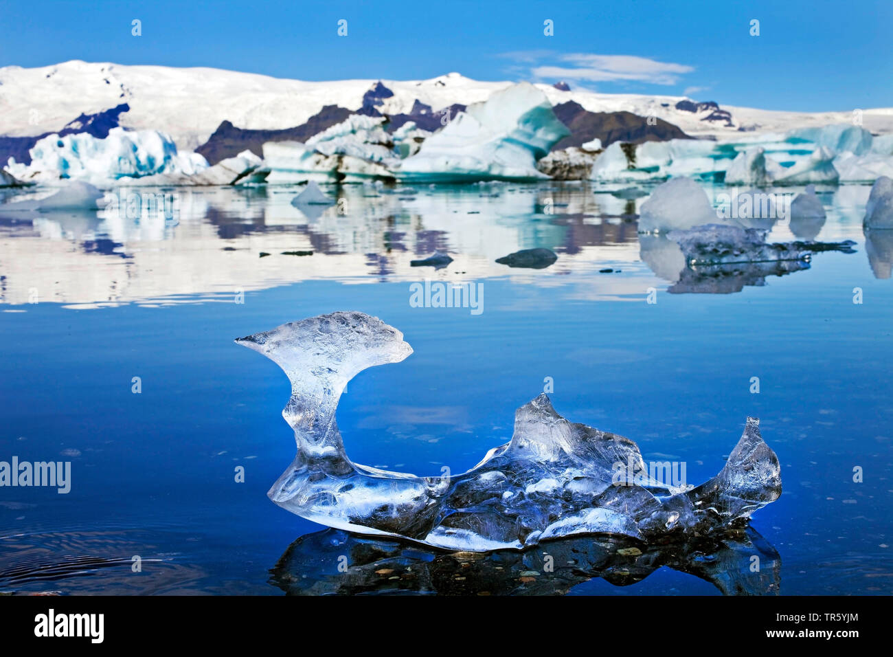 Pieza de ica en la laguna del glaciar de Joekulsarlon, Islandia, Oriente Islandia, Hornarfjoerdur Vatnajoekull, Parque Nacional Foto de stock