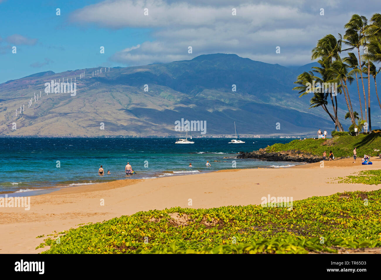 Kama'ole Beach Park II, EE.UU., Hawai, Maui, Kihei Foto de stock