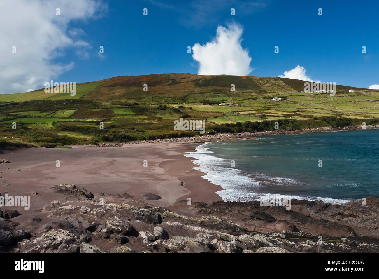 Playa y costa rocosa, Irlanda, en el condado de Kerry, la península Dingle Foto de stock