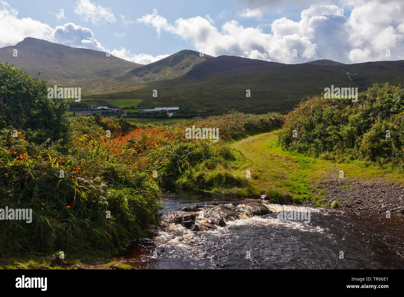 Paisaje de la península Dingle, Irlanda, en el condado de Kerry, la península Dingle Foto de stock