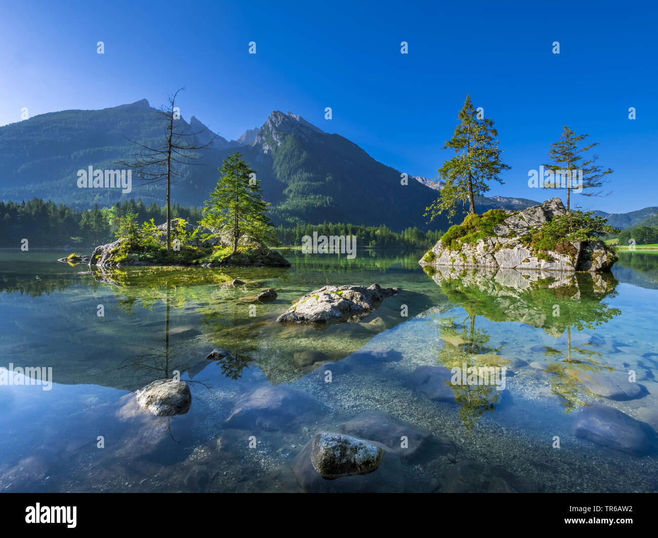 Lago Hintersee en el Parque Nacional Berchtesgaden, Alemania, Baviera, Parque Nacional Berchtesgaden Foto de stock