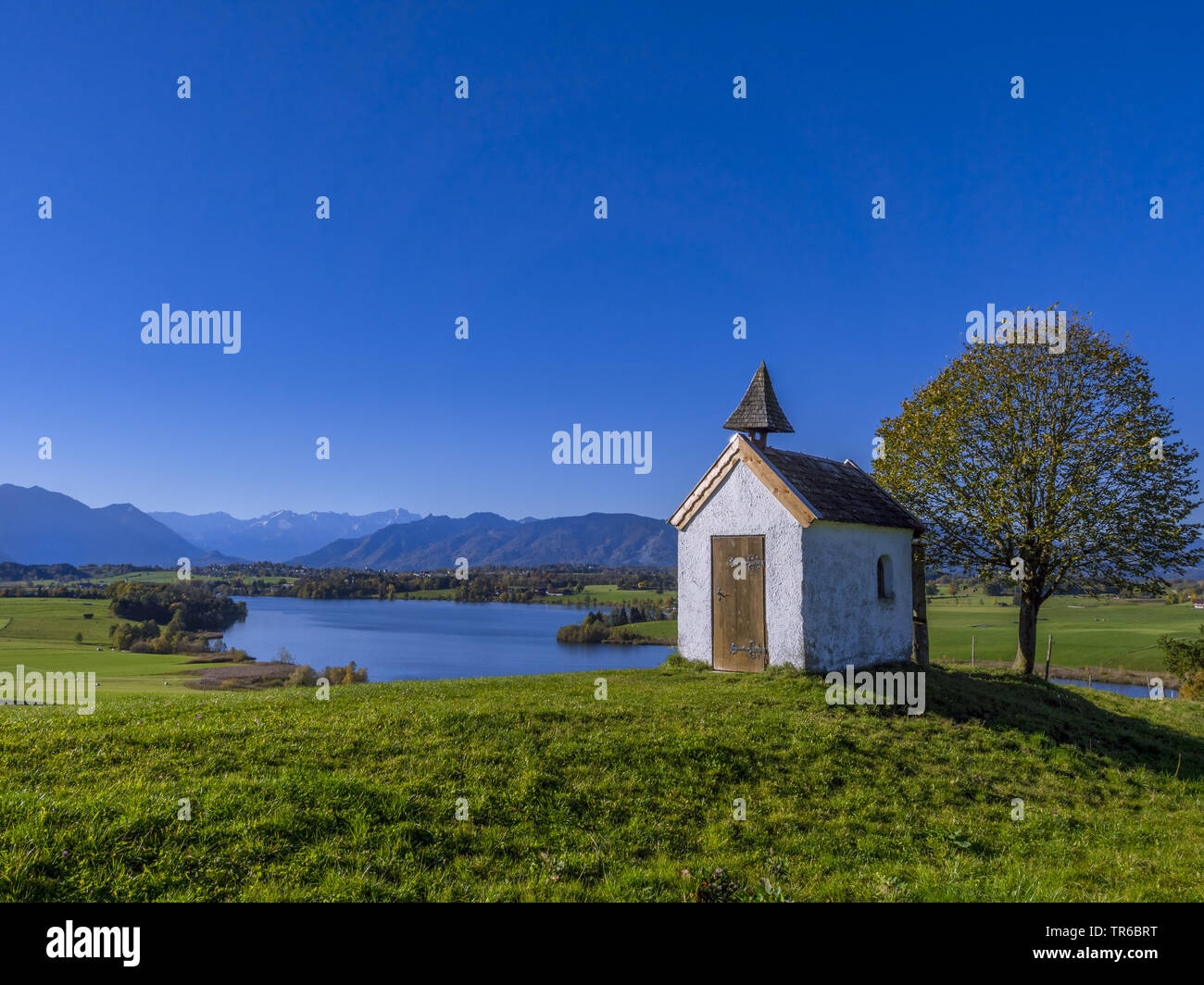 Aidlinger Hoehe en Baviera con capilla al Lago Riegsee, Alemania, Baviera, Oberbayern, Alta Baviera Foto de stock