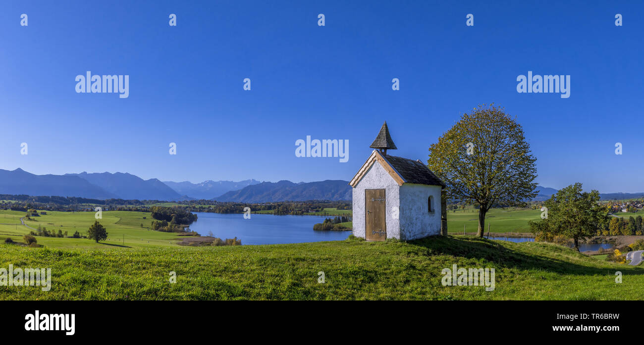 Aidlinger Hoehe en Baviera con capilla al Lago Riegsee, Alemania, Baviera, Oberbayern, Alta Baviera Foto de stock