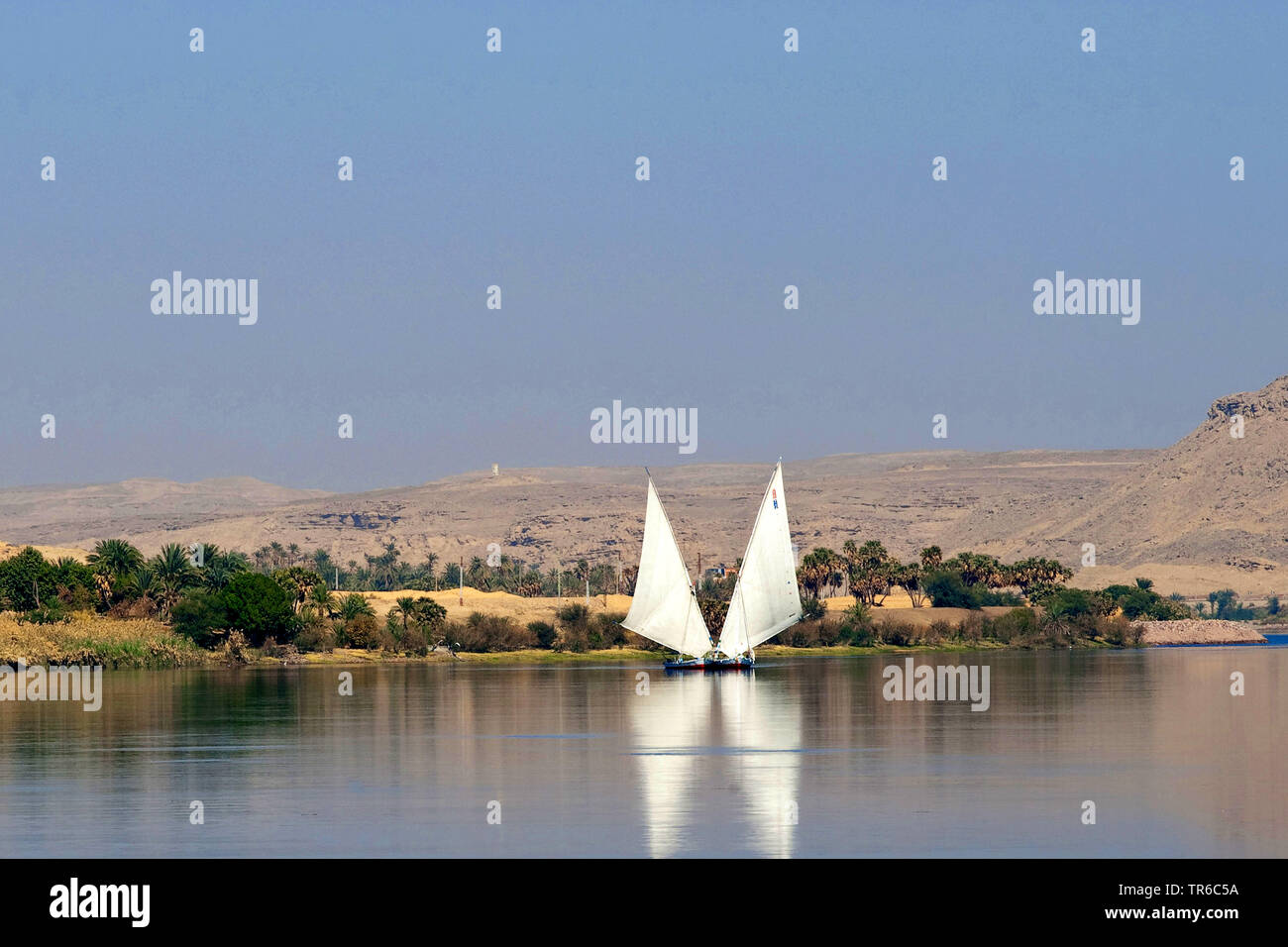 Dos Feluchos en el Nilo, Egipto Foto de stock
