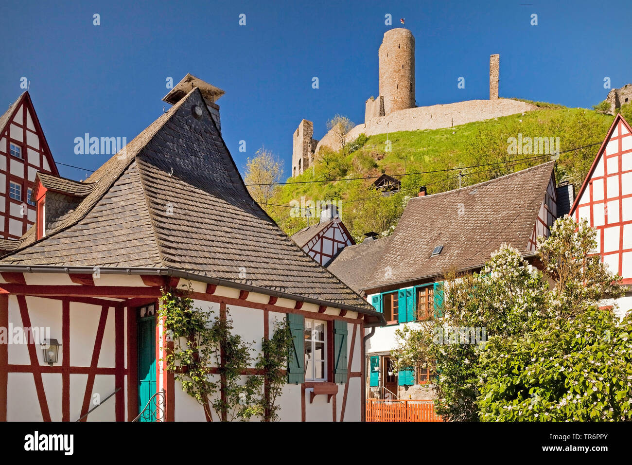 Casas de entramados en el centro histórico y el castillo de la ruina Lowenburg, Alemania, Renania-Palatinado, Eifel, Monreal Foto de stock