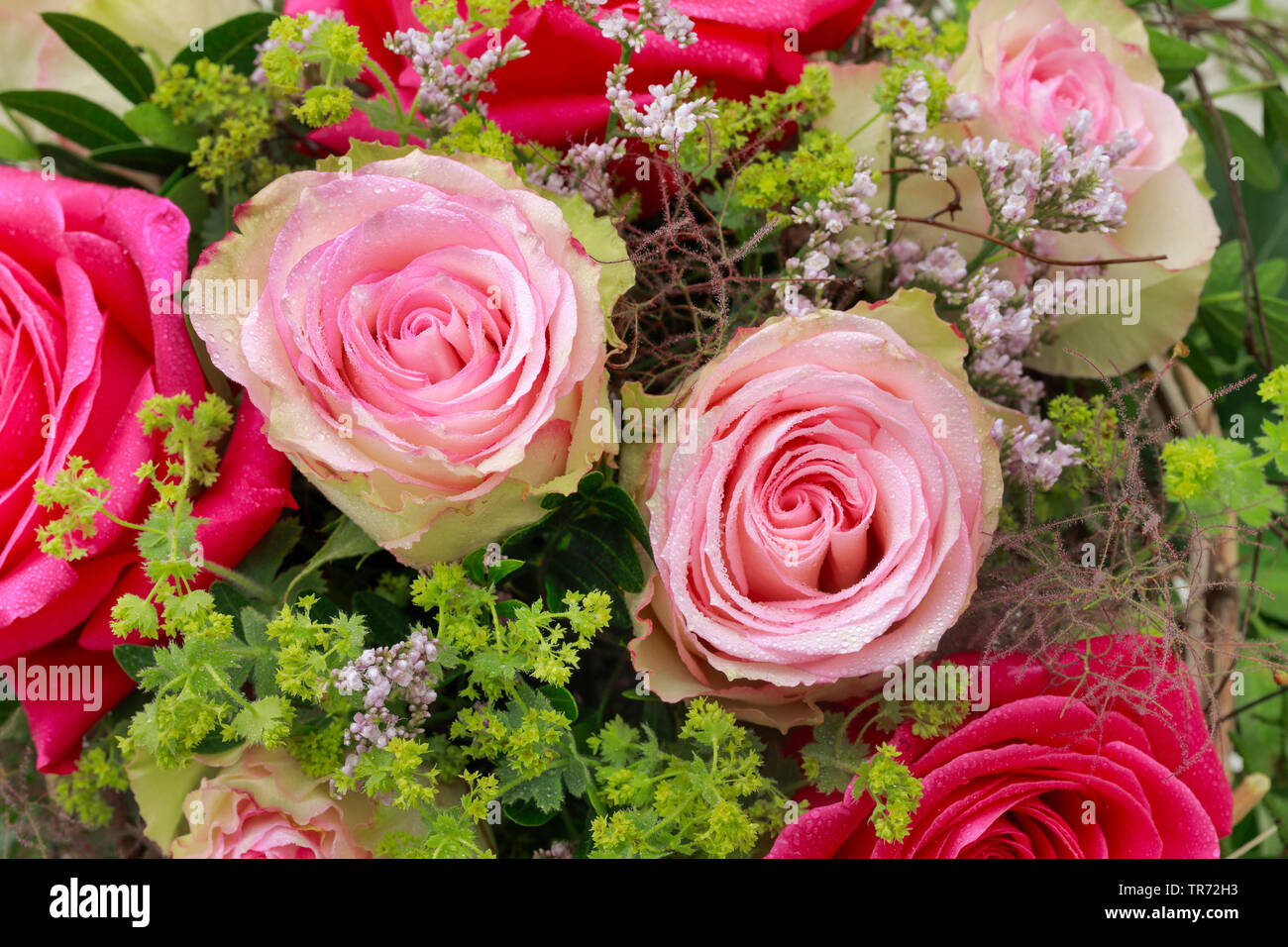Ramo de flores con rosas rosas y ladys-manto, detalle Foto de stock