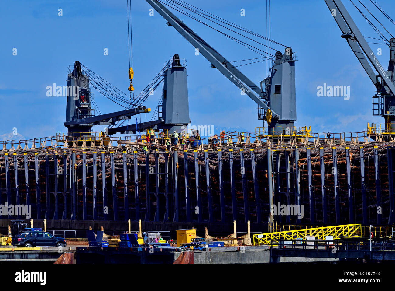Un buque oceánicos está cargado con troncos brutos para el transporte en la isla de Vancouver, British Columbia, Canadá. Foto de stock