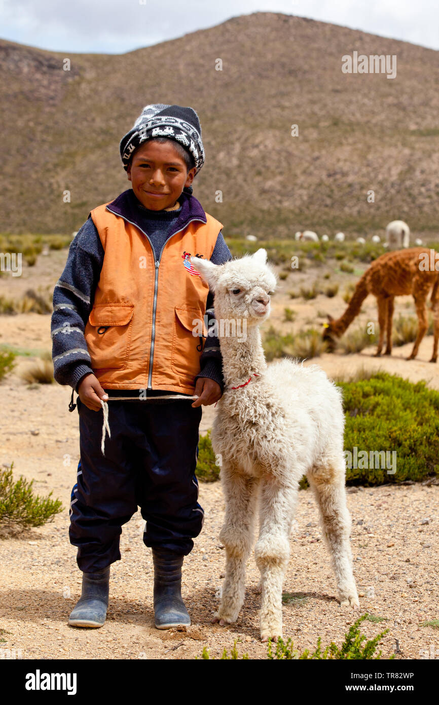 Un muchacho y su alpaca sobre las montañas de Chivay Foto de stock