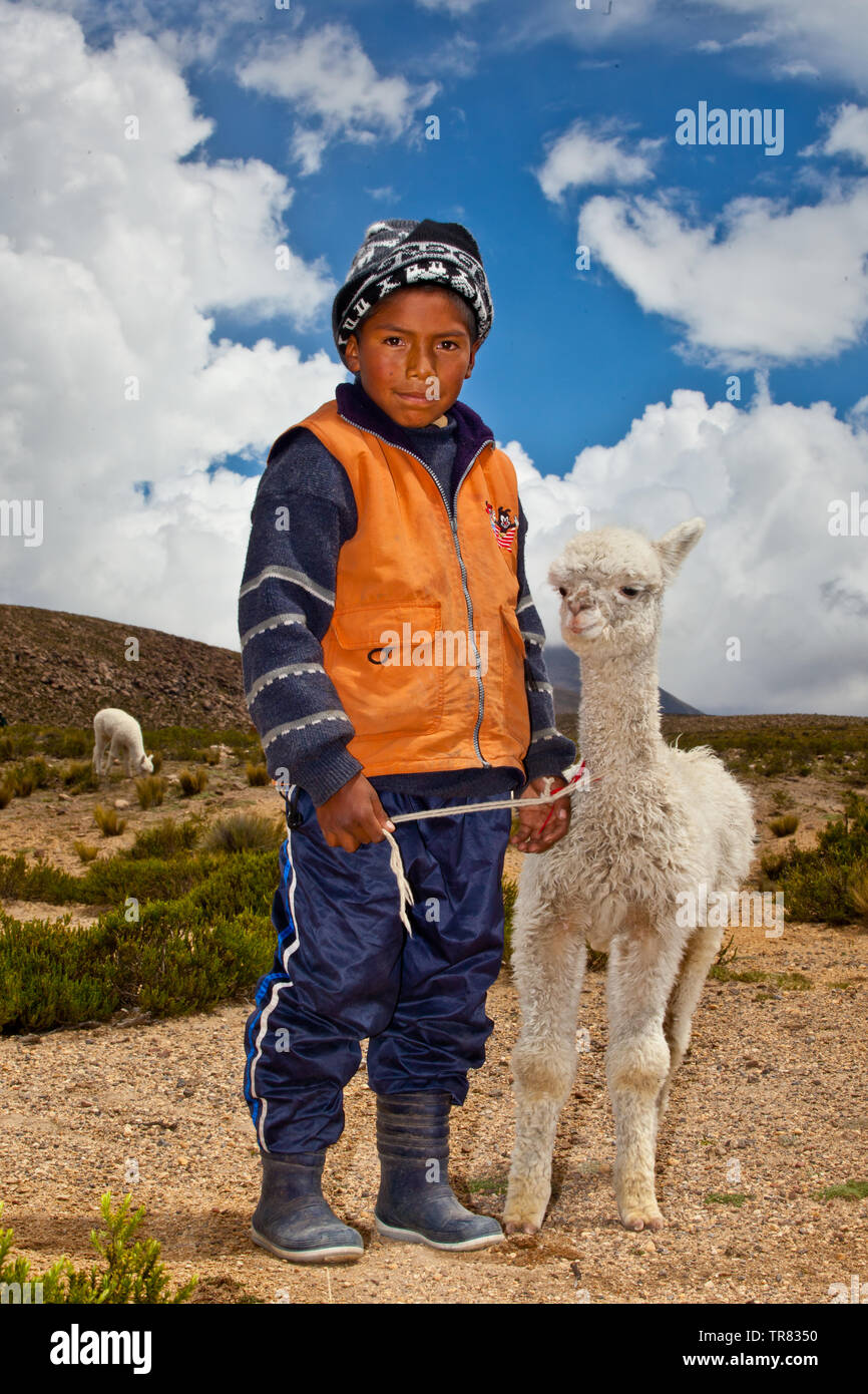 Un muchacho y su alpaca sobre las montañas de Chivay Foto de stock