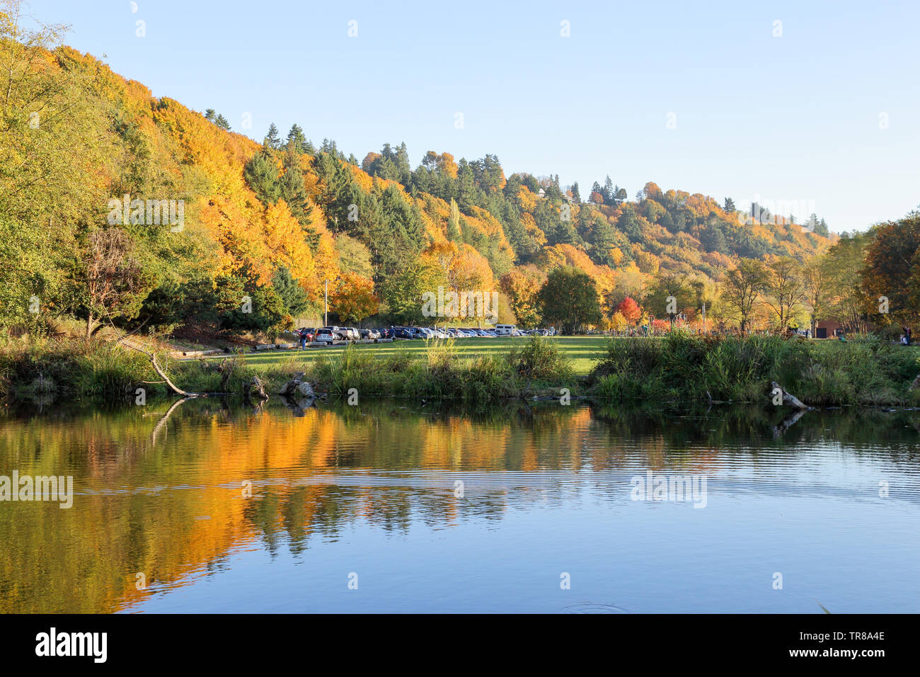 Tiempo De Relax En El Golden Gardens Park Seattle Washington En Una Tarde Fotografia De Stock Alamy