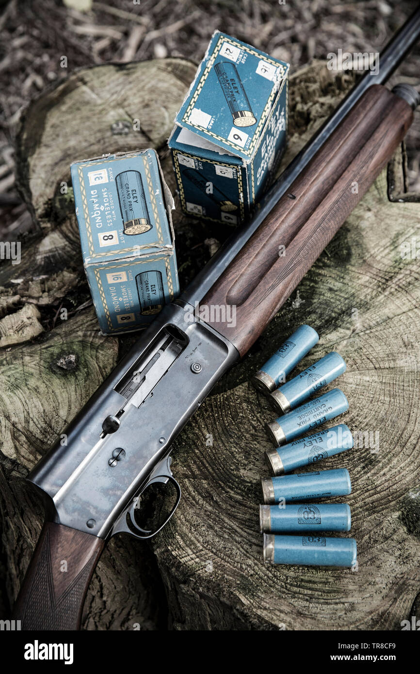 Un automático Browning calibre 16-5 escopeta. El cañón, que también se hizo  en menor y mayor calibre 20, calibre 12 fue la invención del famoso  American fi Fotografía de stock - Alamy