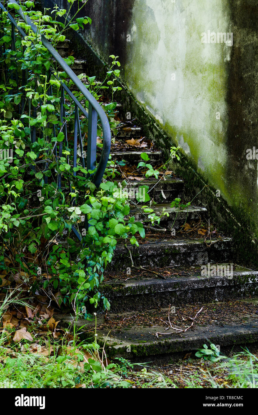 Vista de una primavera abandonado jardín que rodea la casa, un hombre muerto, Lyon, Francia. Foto de stock