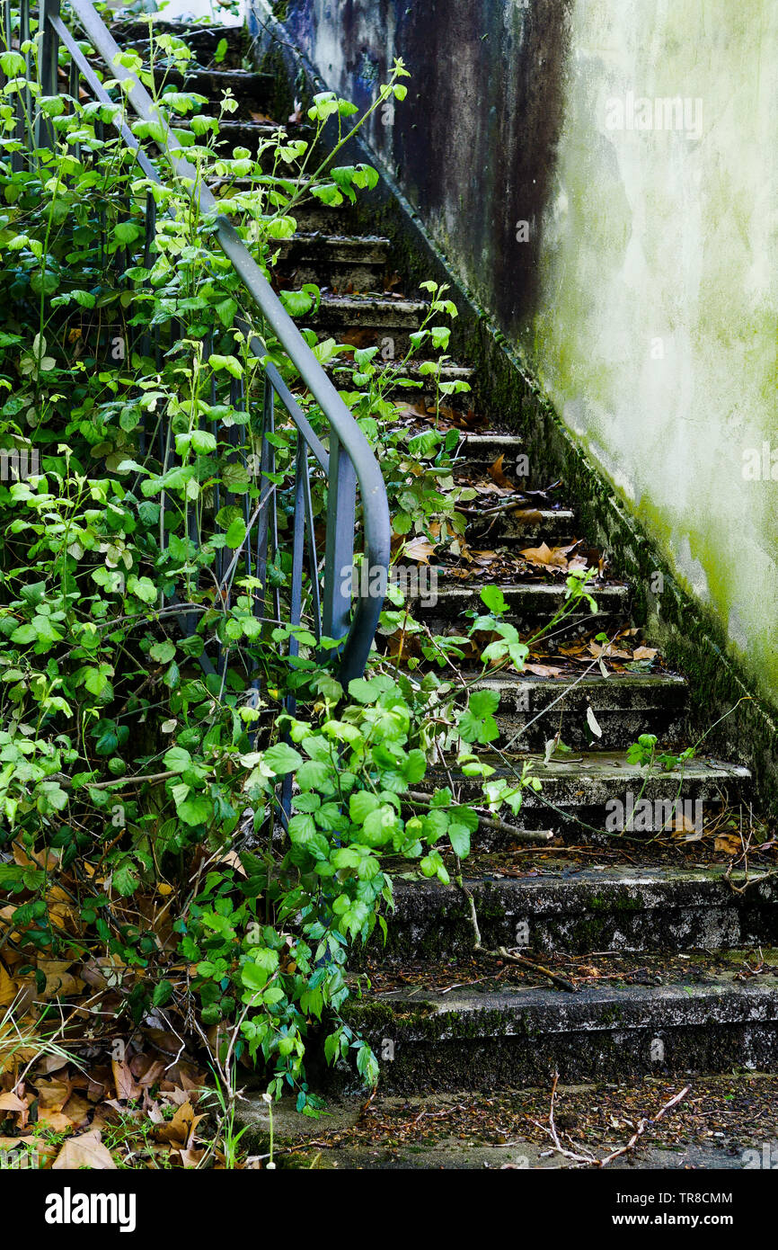 Vista de una primavera abandonado jardín que rodea la casa, un hombre muerto, Lyon, Francia. Foto de stock