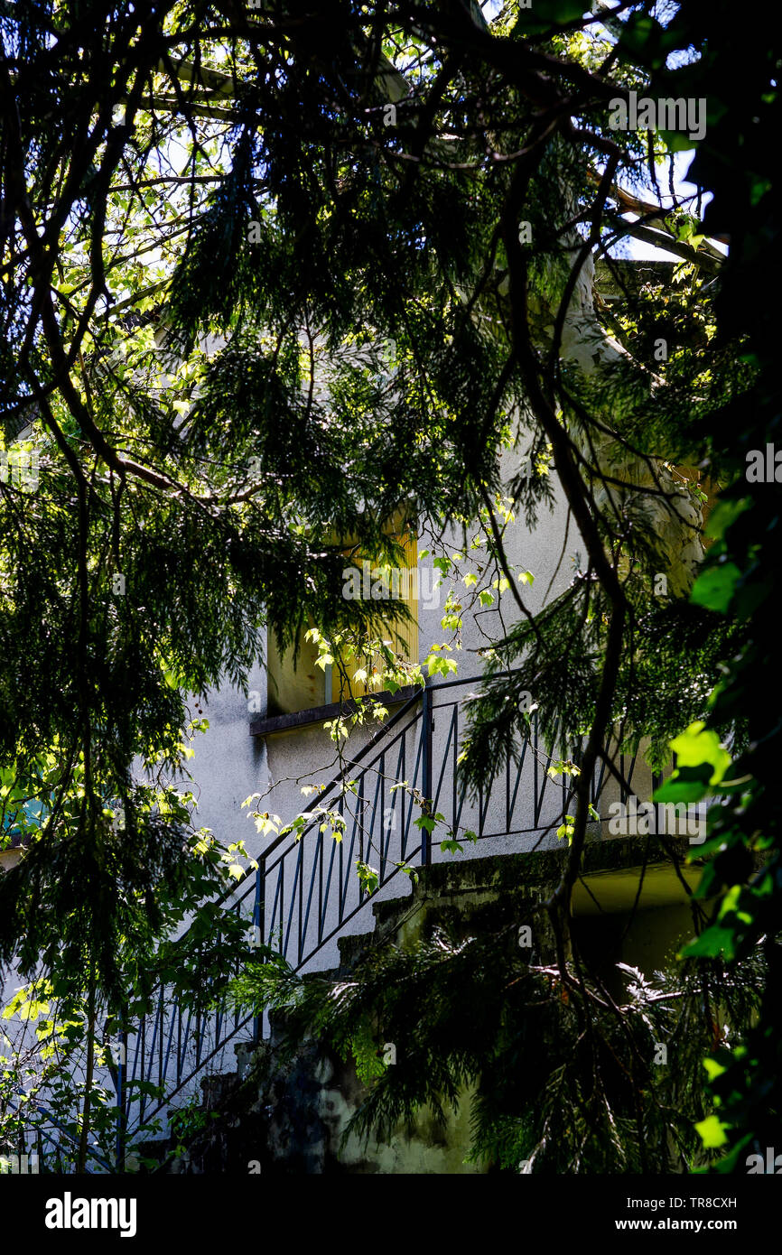Vista de una primavera abandonado jardín que rodea la casa, un hombre muerto, Lyon, Francia. Foto de stock