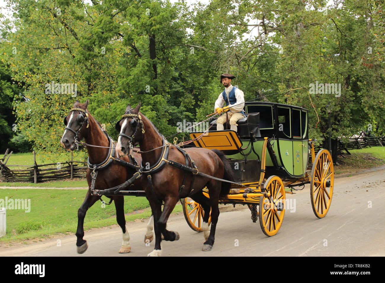 El caballo y el carruaje en Colonial Williamsburg Foto de stock
