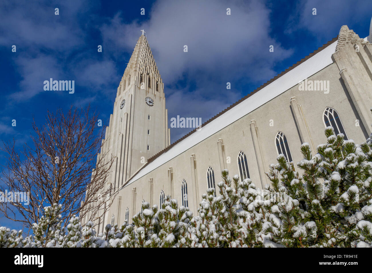 La Hallgrímskirkja (iglesia de Hallgrímur) en Reykjavik, Islandia  Fotografía de stock - Alamy