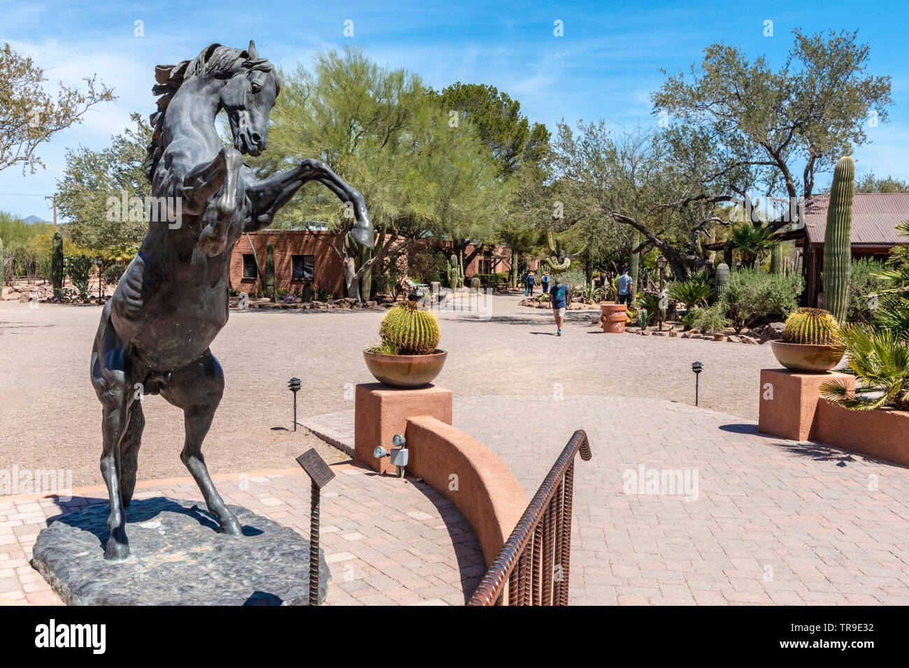 White Stallion Ranch, un rancho de vacaciones justo en las afueras de Tucson, AZ. Foto de stock