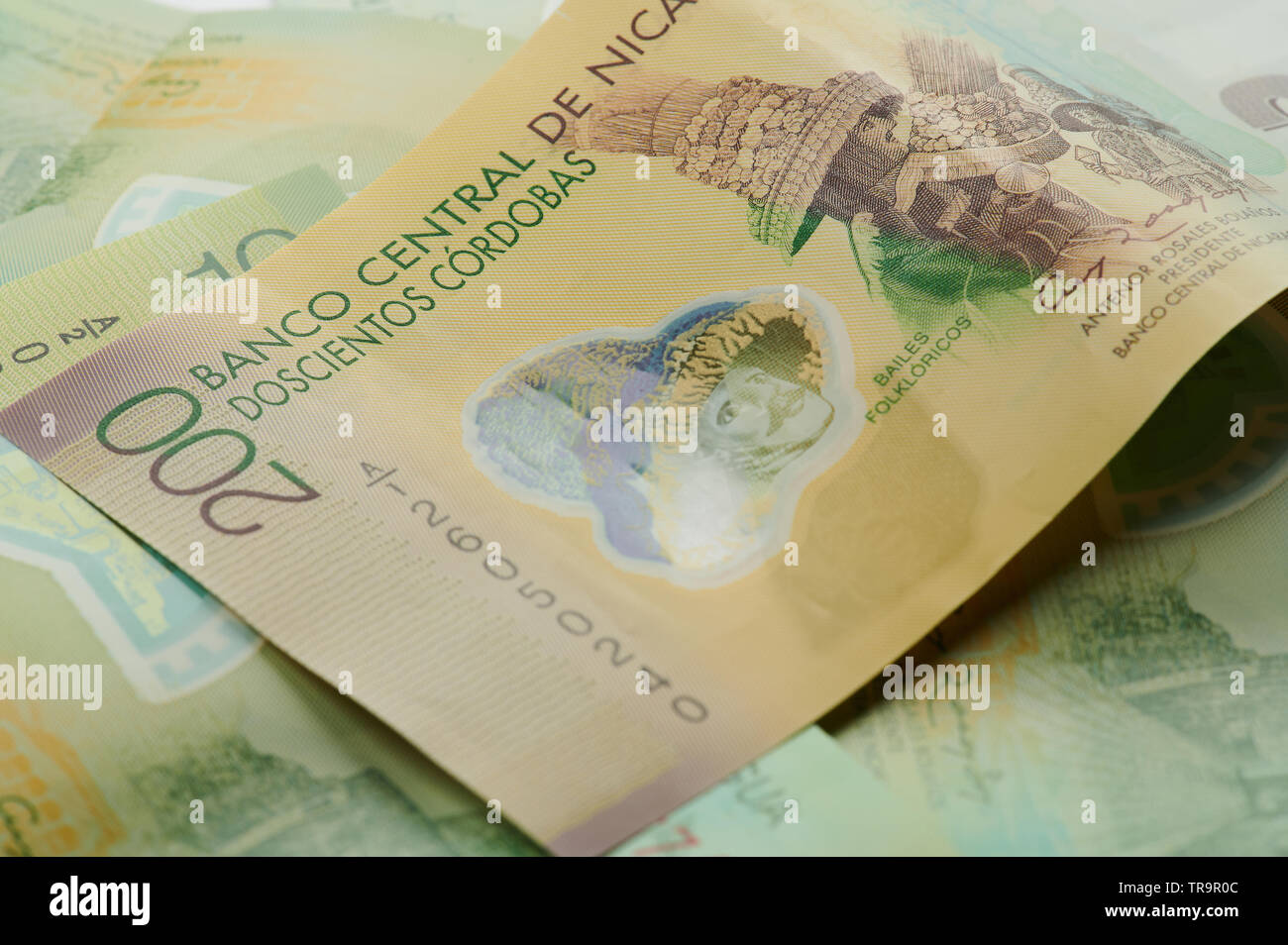 Detalle moneda nicaragüense fotografías e imágenes de alta resolución