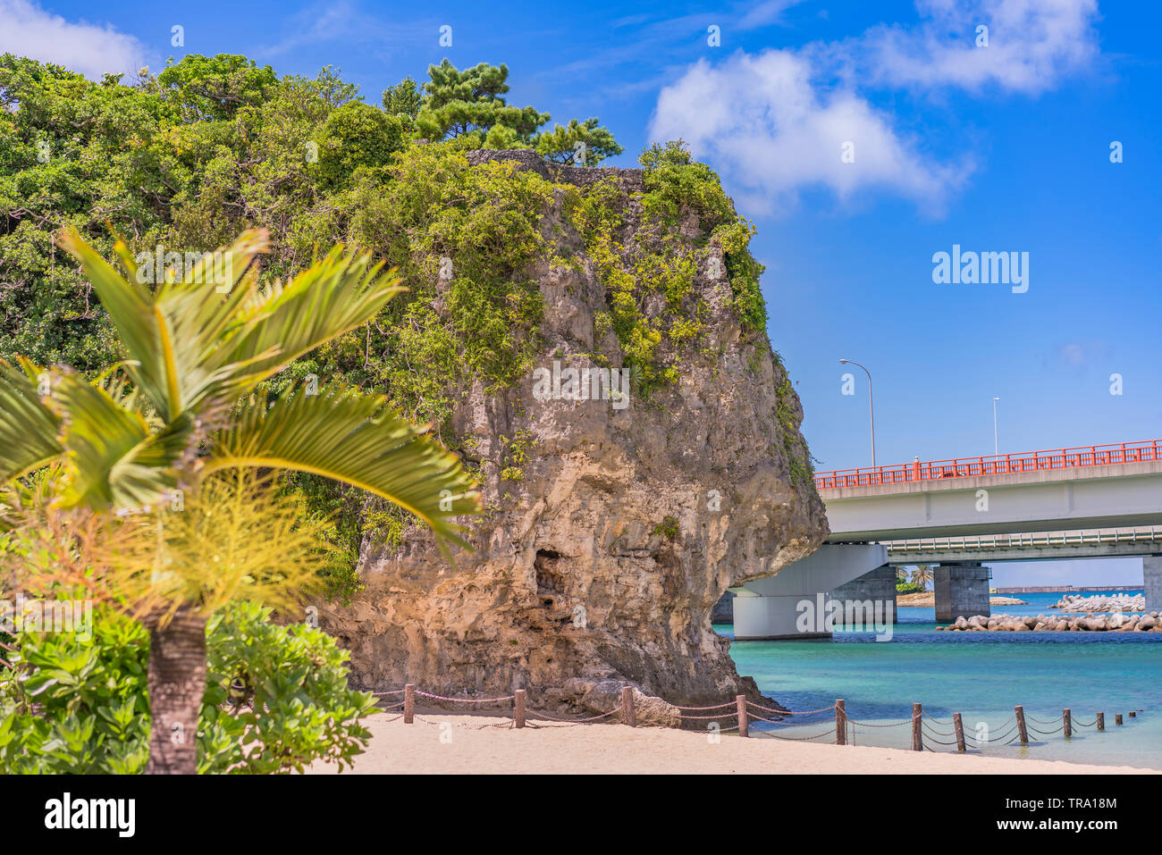 Palmera en la playa Naminoue coronado por una roca enorme con un santuario sintoísta en la cima de un acantilado y una carretera que pasa en la ciudad de Naha en Okinawa P Foto de stock