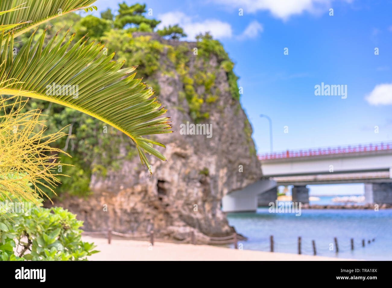 Palmera en la playa Naminoue coronado por una roca enorme con un santuario sintoísta en la cima de un acantilado y una carretera que pasa en la ciudad de Naha en Okinawa P Foto de stock